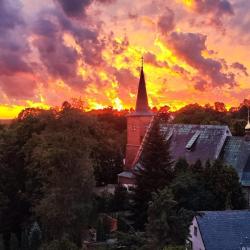 1-комнатные апартаменты стандарт Тенистая аллея 35