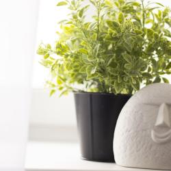 Фото Отель Apartament 52 на улице Прыгунова