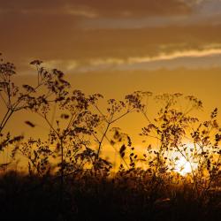 Фото Отель У Лукоморья