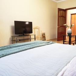 1-комнатные апартаменты улучшенные Самара, ул. Советской армии, 238А