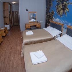 Номер стандарт с 2 односпальными кроватями (с завтраком)