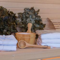 Фото Отель Wellness Hotel and Spa (Велнесс)