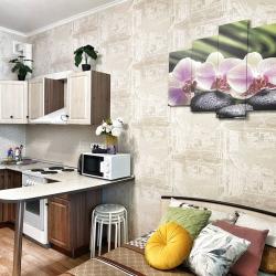 1-комнатные апартаменты студия