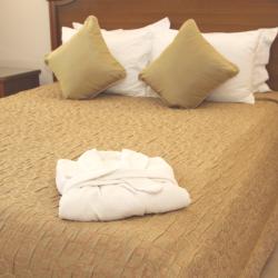 Номер люкс с 1 двуспальной кроватью