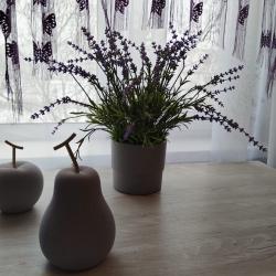 1-комнатные апартаменты стандарт №1