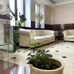 Корона — cdea5e018cda98190a4d4065c3f6a56d