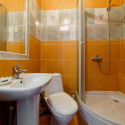 Фото Отель Родина