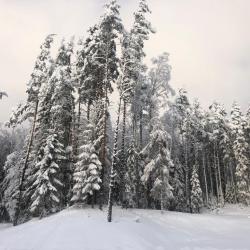 Коттедж стандарт Country