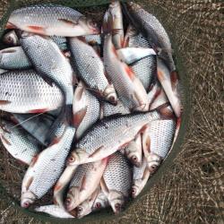 Фото Отель Гостевой дом Брейтово