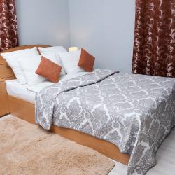 Фото Отель Вингс