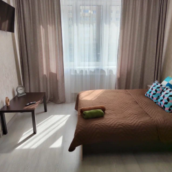 Фото Апартаменты на улице Псковская 3