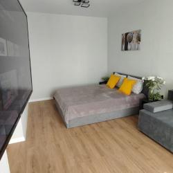 Фото Апартаменты на улице Воронежская 47/35