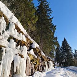 Фото Отель Остров