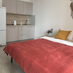 1-комнатные апартаменты студия