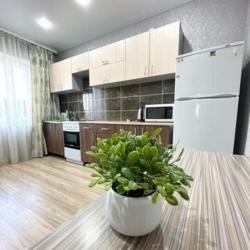 Фото Апартаменты на улице Свердлова 107А