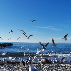 Фото Апартаменты на улице ул. Таврическая 7 корпус 2