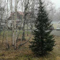 Фото Отель Солнечная