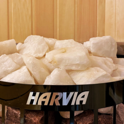 Фото Отель Vetvi home (Ветви хоум)