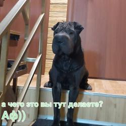 Фото Отель Коттедж Манжерок