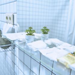 Семейный номер с собственной ванной комнатой