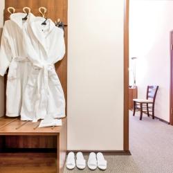 2-комнатный номер люкс с 1 двуспальной кроватью