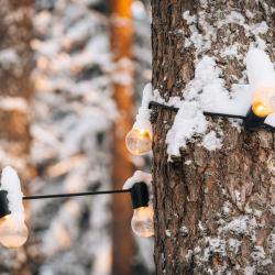 Дом с видом на лес 50м2