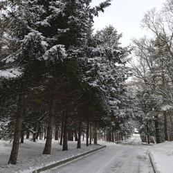 Фото Седанка Парк Отель