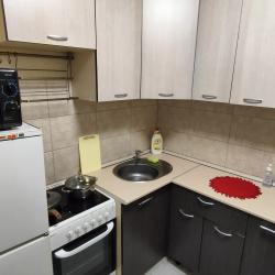 Фото Апартаменты на проспекте Ленина 111А