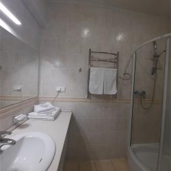 Номер стандарт с видом на парк