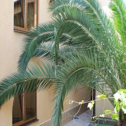 Фото Отель Креатида