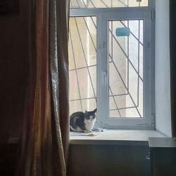 фото 6 Васильевский