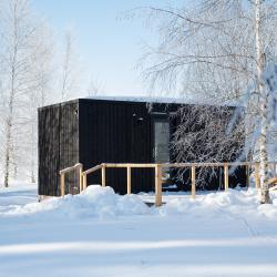 Дом среди деревьев