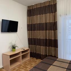 Горгиппия — ce929ee90d0c08bbee083136dd2442a3