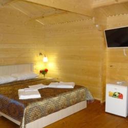 Фото Отель Цитрус 1