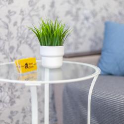 Фото Отель RentPlaza (РентПлаза) на Московском шоссе