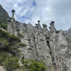 Фото Отель Алтай Эко Кедр