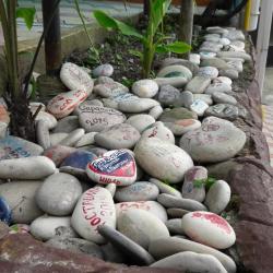 Фото Отель Гармония