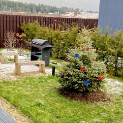 Фото Отель Лесная ягода