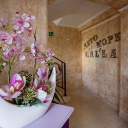 Фото Galla Hotel (Галла отель)