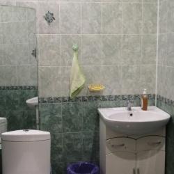 Фото Отель Гостевой Дом Рябиновый