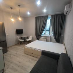 Фото Апартаменты на улице Родионова 202/1