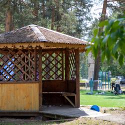 Фото Отель Сосновый бор