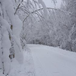Фото Отель Великое Озеро