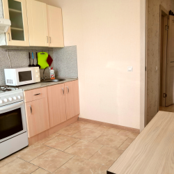 Фото Апартаменты на улице Пухова 31