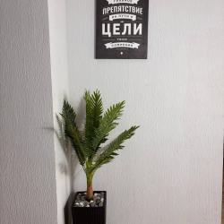 Коттедж стандарт