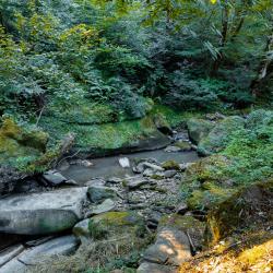 Фото Отель LIPNIKI ()