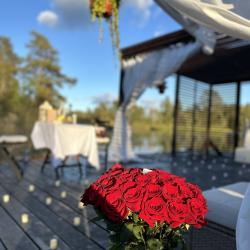 Фото Отель Дом Прованс