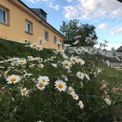 Фото Арт отель Вернисаж