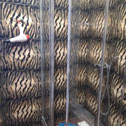 Фото Отель Медведефф 1