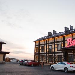 Фото Отель Родина